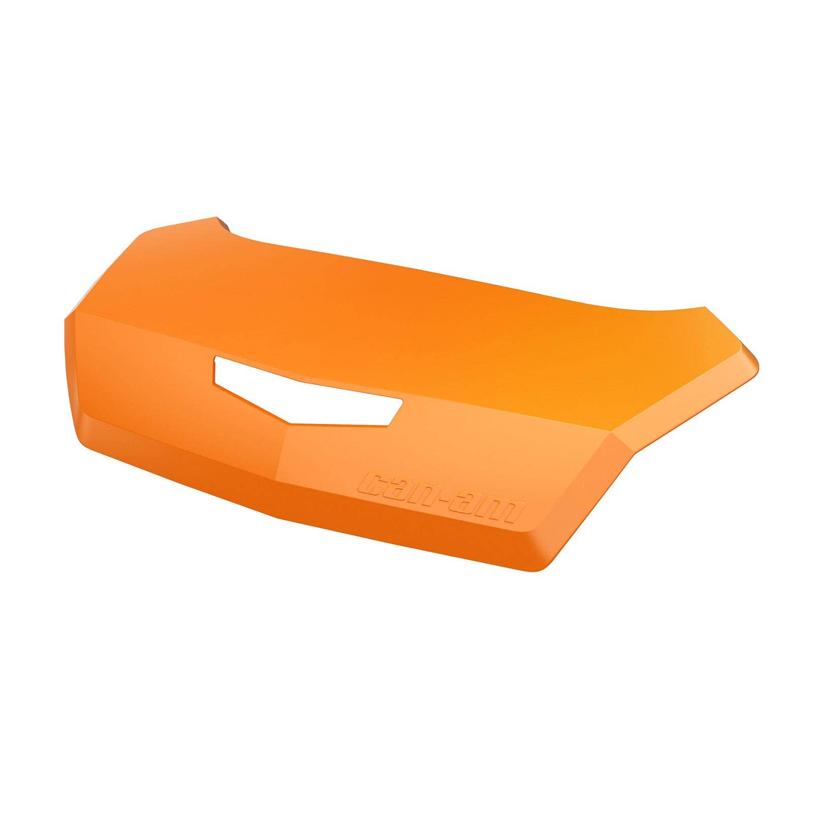 Panneau pour coffre arrière LinQ Can-Am (124 L)